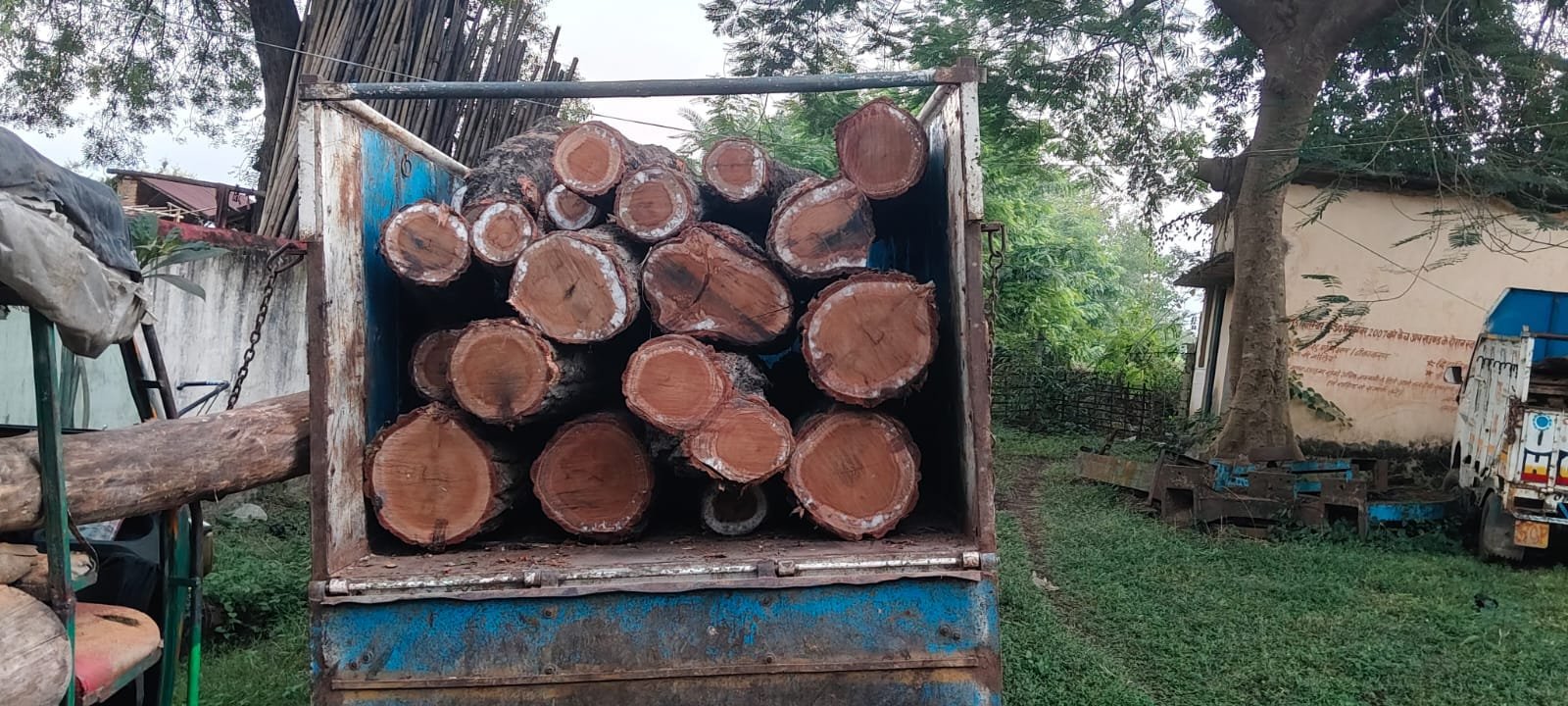 तालझारी वन क्षेत्र में 22 बोटा सखुआ लकड़ी जब्त