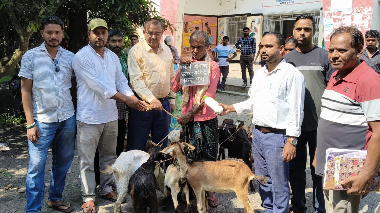 झारखंड सरकार के पशुधन विकास योजना के तहत लाभुकों के बीच बकरा बकरी वितरण झारखंड सरकार के पशुधन विकास योजना के तहत लाभुकों के बीच बकरा बकरी वितरण