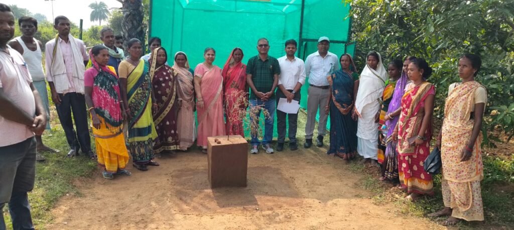 नाबार्ड के महाप्रबंधक ने सरैयाहाट में जीवा परियोजना क्षेत्र का किया निरीक्षण,किसानों को दी प्राकृतिक खेती की सीख नाबार्ड के महाप्रबंधक ने सरैयाहाट में जीवा परियोजना क्षेत्र का किया निरीक्षण,किसानों को दी प्राकृतिक खेती की सीख