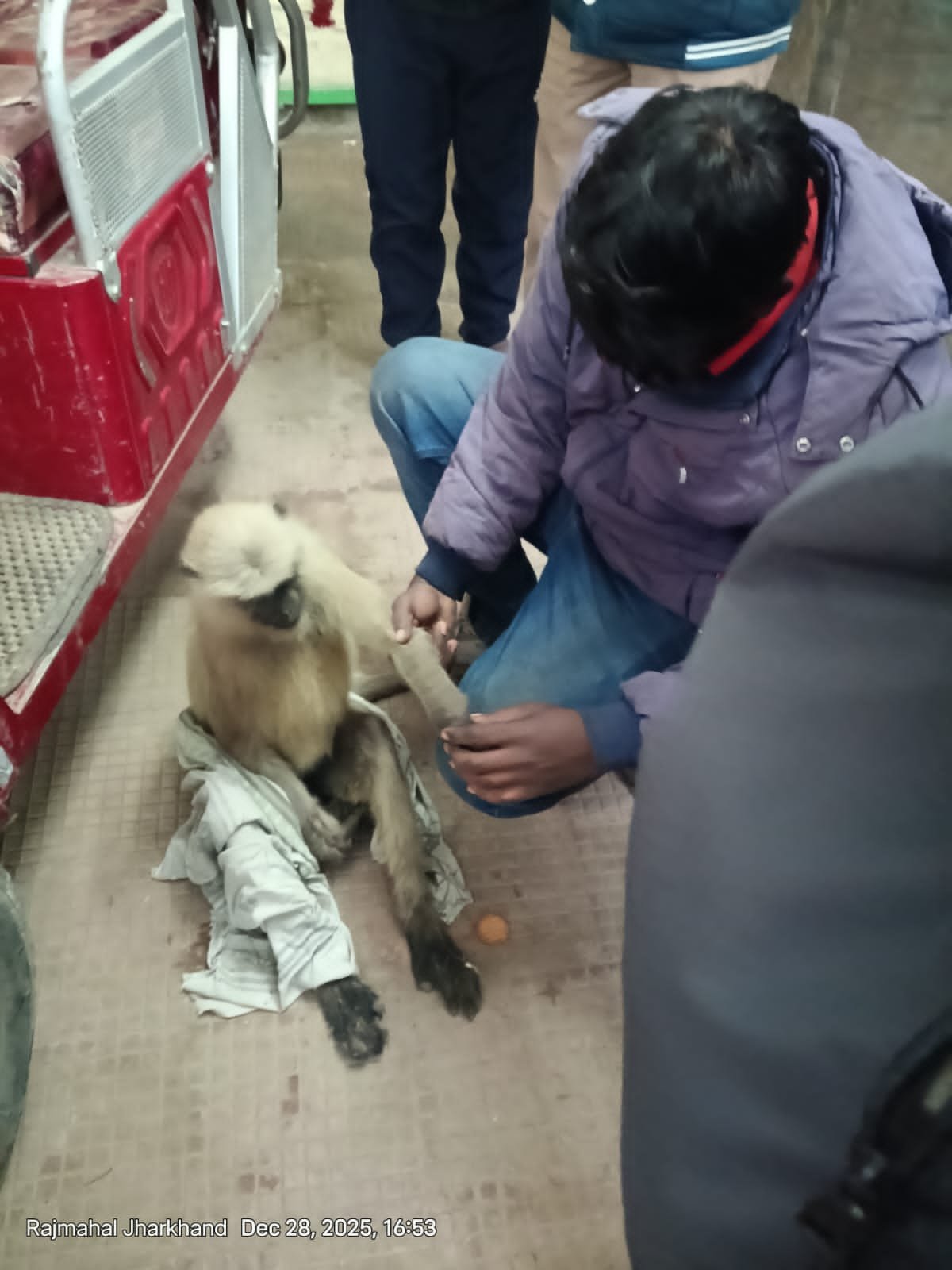 करंट लगने से हनुमान घायल, अस्पताल में कराया गया इलाज करंट लगने से हनुमान घायल, अस्पताल में कराया गया इलाज