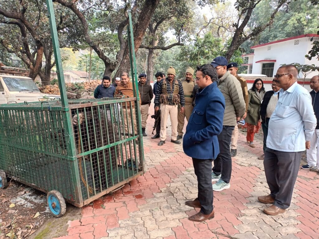 कोटालपोखर में जब्त कछुओं का उपायुक्त व डीएफओ ने लिया जायजा, वन्यजीव तस्करी पर होगी कड़ी कार्रवाई कोटालपोखर में जब्त कछुओं का उपायुक्त व डीएफओ ने लिया जायजा, वन्यजीव तस्करी पर होगी कड़ी कार्रवाई