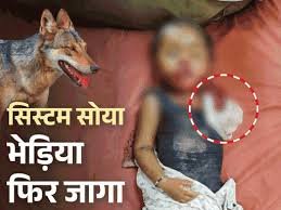 मां की गोद से बच्चे को खींच ले गया भेड़िया, बहराइच में 103 दिनों में 10 बच्चों समेत 12 की मौत मां की गोद से बच्चे को खींच ले गया भेड़िया, बहराइच में 103 दिनों में 10 बच्चों समेत 12 की मौत