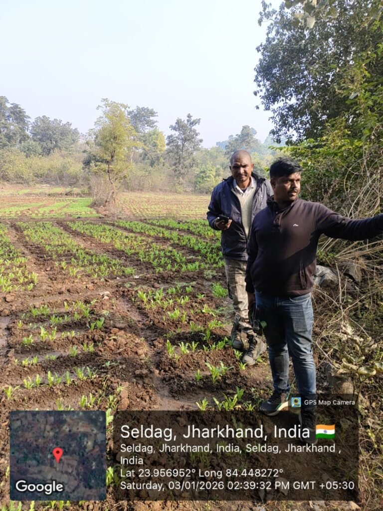 मनिका थाना क्षेत्र में पुलिस की बड़ी कार्रवाई, अवैध पोस्ते की खेती नष्ट मनिका थाना क्षेत्र में पुलिस की बड़ी कार्रवाई, अवैध पोस्ते की खेती नष्ट