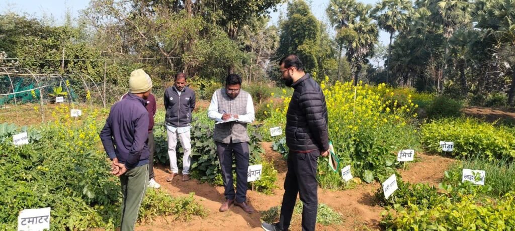नाबार्ड रांची के वरिष्ठ अधिकारी ने सरैयाहाट में जीवा प्राकृतिक खेती परियोजना का किया निरीक्षण नाबार्ड रांची के वरिष्ठ अधिकारी ने सरैयाहाट में जीवा प्राकृतिक खेती परियोजना का किया निरीक्षण