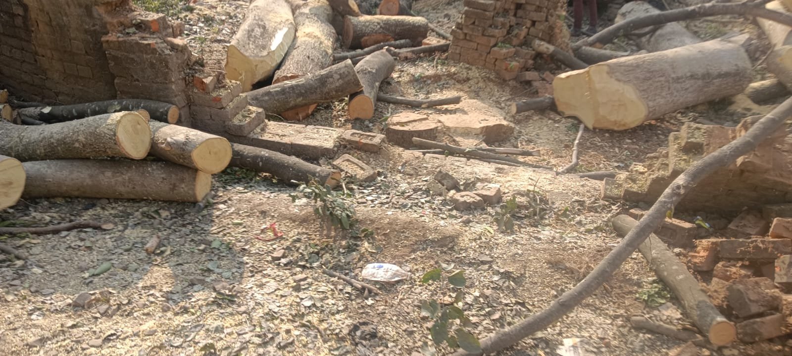 कोटालपोखर थाना क्षेत्र में नहीं थम रहा लकड़ी तस्करी का सिलसिला कोटालपोखर थाना क्षेत्र में नहीं थम रहा लकड़ी तस्करी का सिलसिला