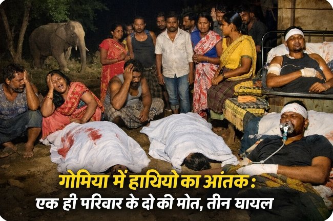 गोमिया में हाथियों का आतंक जारी:एक ही परिवार के दो की मौत, तीन घायल गोमिया में हाथियों का आतंक जारी:एक ही परिवार के दो की मौत, तीन घायल