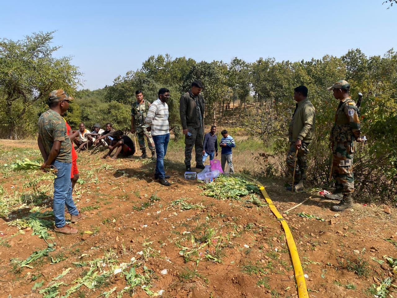 घाघरा में नशा तस्करों पर बड़ी कार्रवाई, अवैध अफीम की पूरी फसल नष्ट घाघरा में नशा तस्करों पर बड़ी कार्रवाई, अवैध अफीम की पूरी फसल नष्ट