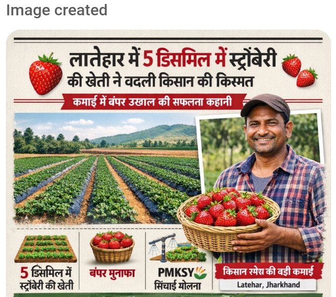 जहां चाह, वहां राह: लातेहार के कुलगड़ा गांव के रमेश भुइयां ने 5 डिसमिल में स्ट्रॉबेरी उगाकर रची सफलता की कहानी