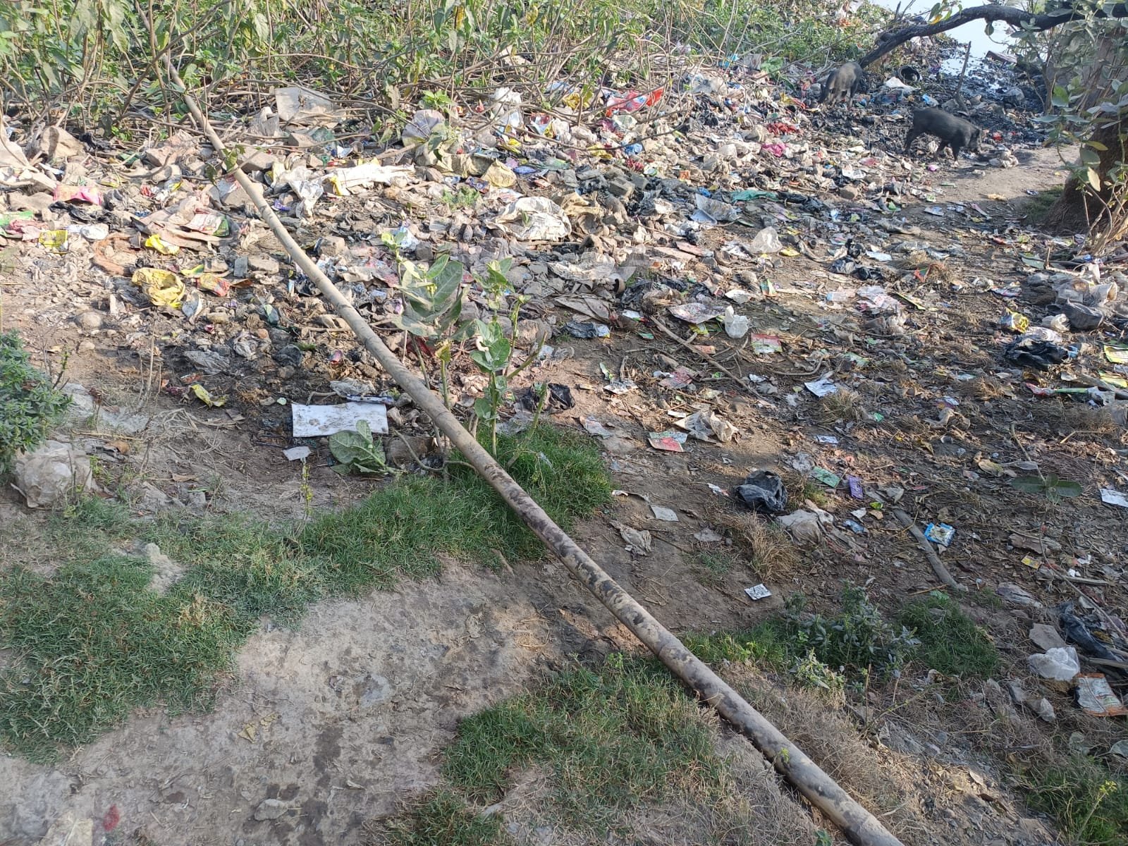 कुरल पाड़ा में कचरे का अंबार,सफाई व्यवस्था पर उठे सवाल कुरल पाड़ा में कचरे का अंबार,सफाई व्यवस्था पर उठे सवाल