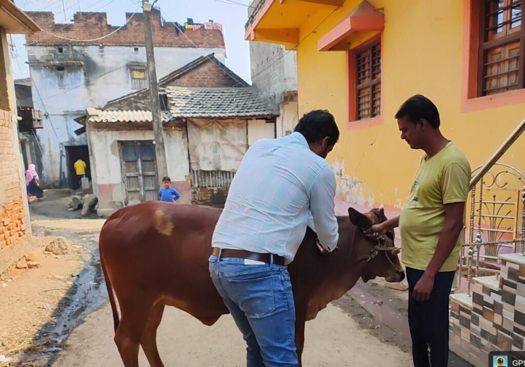 पाकुड़ के सीतापहाड़ी पंचायत में विशेष पशुचिकित्सा शिविर आयोजित पाकुड़ के सीतापहाड़ी पंचायत में विशेष पशुचिकित्सा शिविर आयोजित