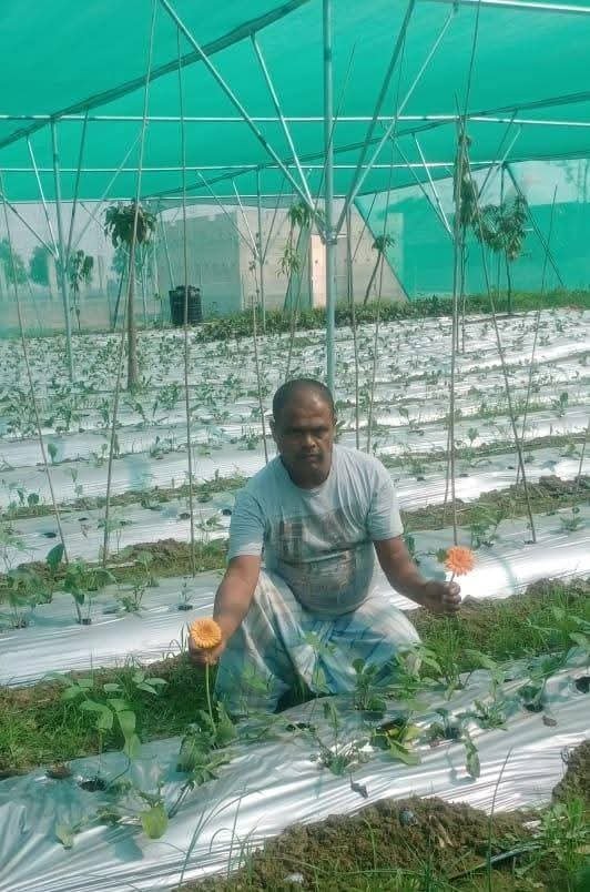 संरक्षित फूलों की खेती से बदली किस्मत, पाकुड़ के किसान बने मिसाल