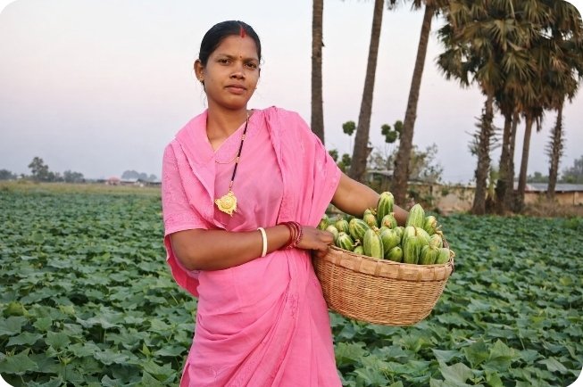 सूक्ष्म टपक सिंचाई से बदली किसान महिला की ज़िंदगी,बनीं मिसाल सूक्ष्म टपक सिंचाई से बदली किसान महिला की ज़िंदगी,बनीं मिसाल