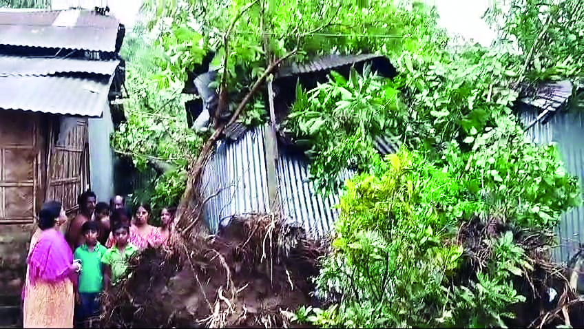 कुगांव पंचायत के दो गांव में तेज आंधी-बारिश से गिरा विशालकाय पेड़, दो घर क्षतिग्रस्त – एक व्यक्ति घायल कुगांव पंचायत के दो गांव में तेज आंधी-बारिश से गिरा विशालकाय पेड़, दो घर क्षतिग्रस्त – एक व्यक्ति घायल