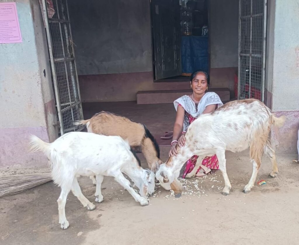 PAKUR news:झारखंड राज्य आजीविका संवर्धन सोसाइटी के फूलो झानो आशीर्वाद अभियान से बदली सुखी हांसदा की जिंदगी PAKUR news:झारखंड राज्य आजीविका संवर्धन सोसाइटी के फूलो झानो आशीर्वाद अभियान से बदली सुखी हांसदा की जिंदगी