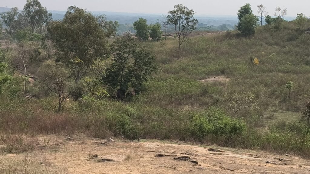 चेगरी टोंगरी में दिखा जंगली हाथी, फॉरेस्ट टीम मौके पर; ग्रामीणों को सतर्क रहने की अपील चेगरी टोंगरी में दिखा जंगली हाथी, फॉरेस्ट टीम मौके पर; ग्रामीणों को सतर्क रहने की अपील