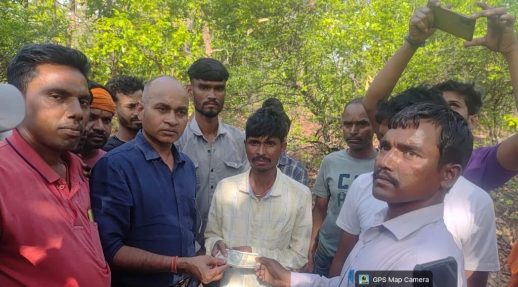 महुआ चुनने गई महिला को जंगली हाथी ने कुचला,मौके पर दर्दनाक मौत