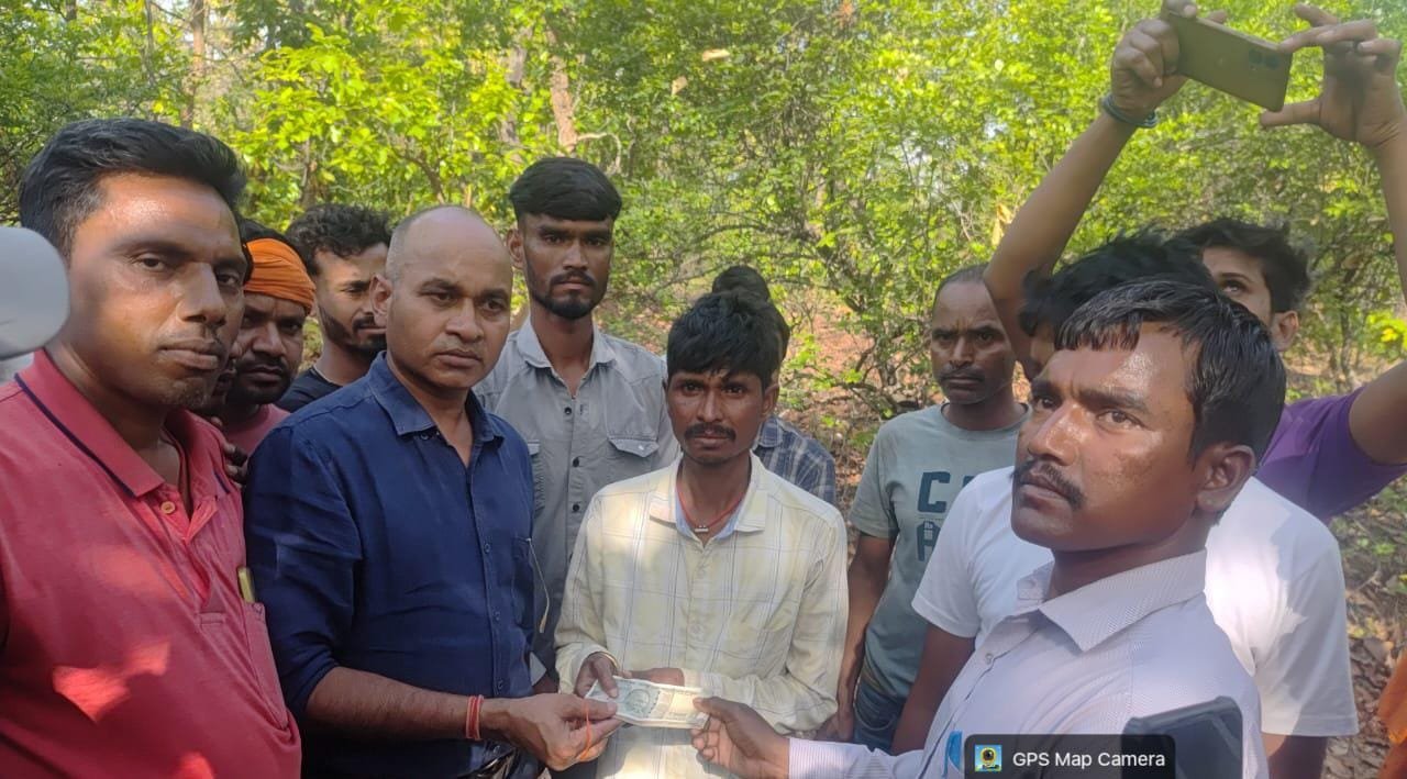 महुआ चुनने गई महिला को जंगली हाथी ने कुचला,मौके पर दर्दनाक मौत महुआ चुनने गई महिला को जंगली हाथी ने कुचला,मौके पर दर्दनाक मौत