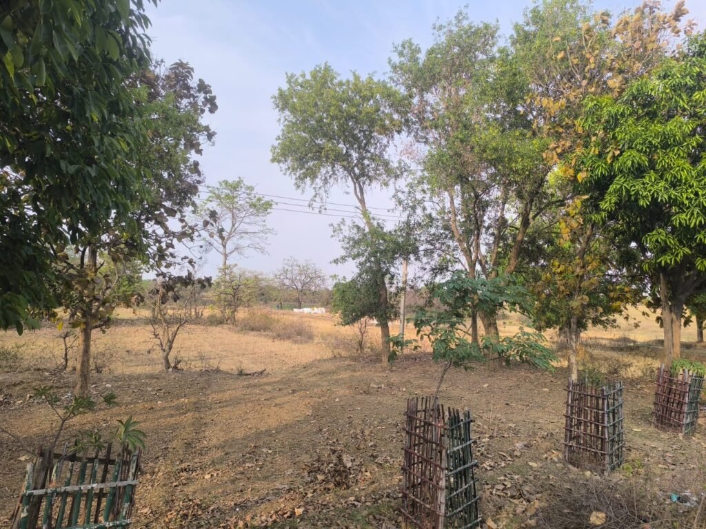 सिमरिया में प्रस्तावित अंबेडकर विश्वविद्यालय से शिक्षा को मिलेगा नया आयाम, युवाओं में उत्साह सिमरिया में प्रस्तावित अंबेडकर विश्वविद्यालय से शिक्षा को मिलेगा नया आयाम, युवाओं में उत्साह