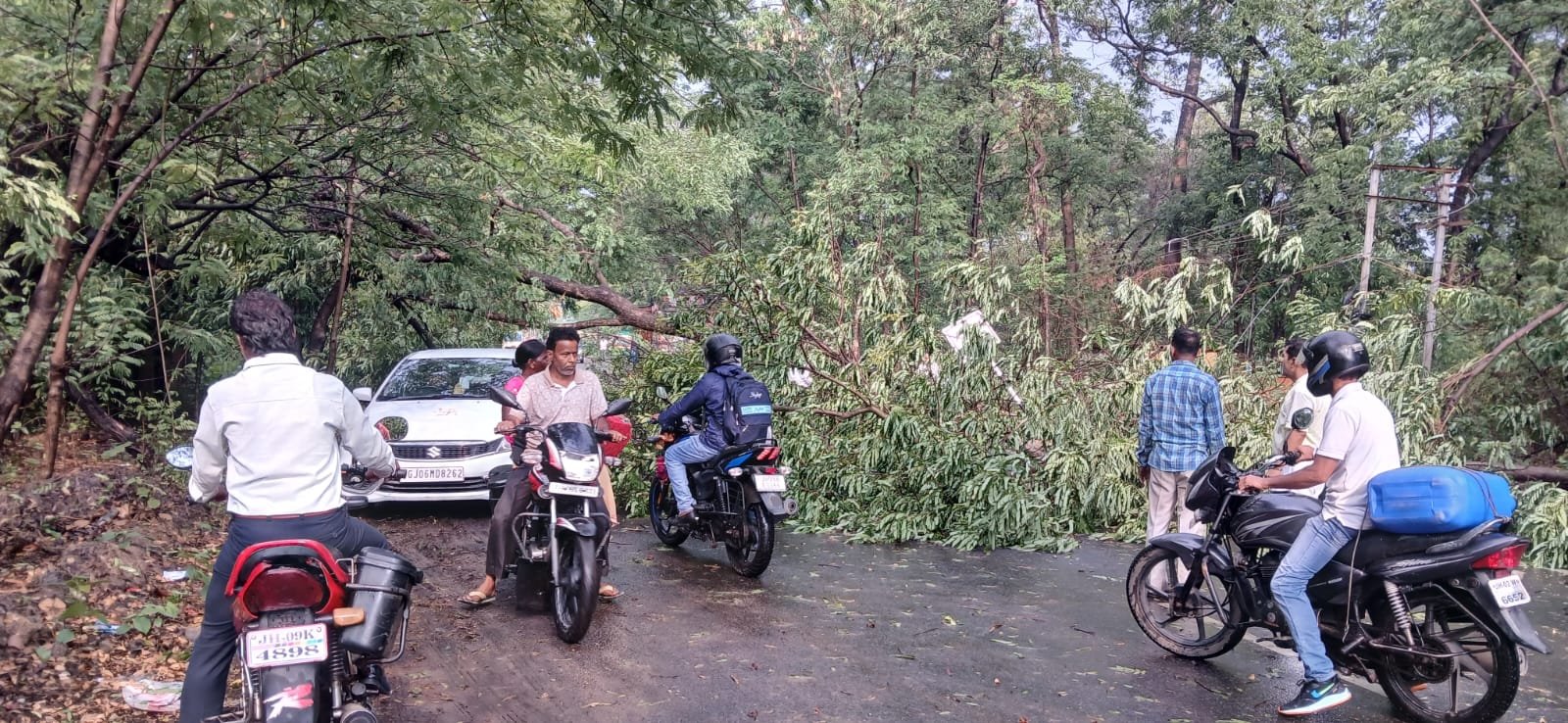 तेज आंधी-बारिश से कथारा-गोमिया मुख्य सड़क पर गिरा विशाल पेड़, दो घंटे बाधित रहा यातायात तेज आंधी-बारिश से कथारा-गोमिया मुख्य सड़क पर गिरा विशाल पेड़, दो घंटे बाधित रहा यातायात