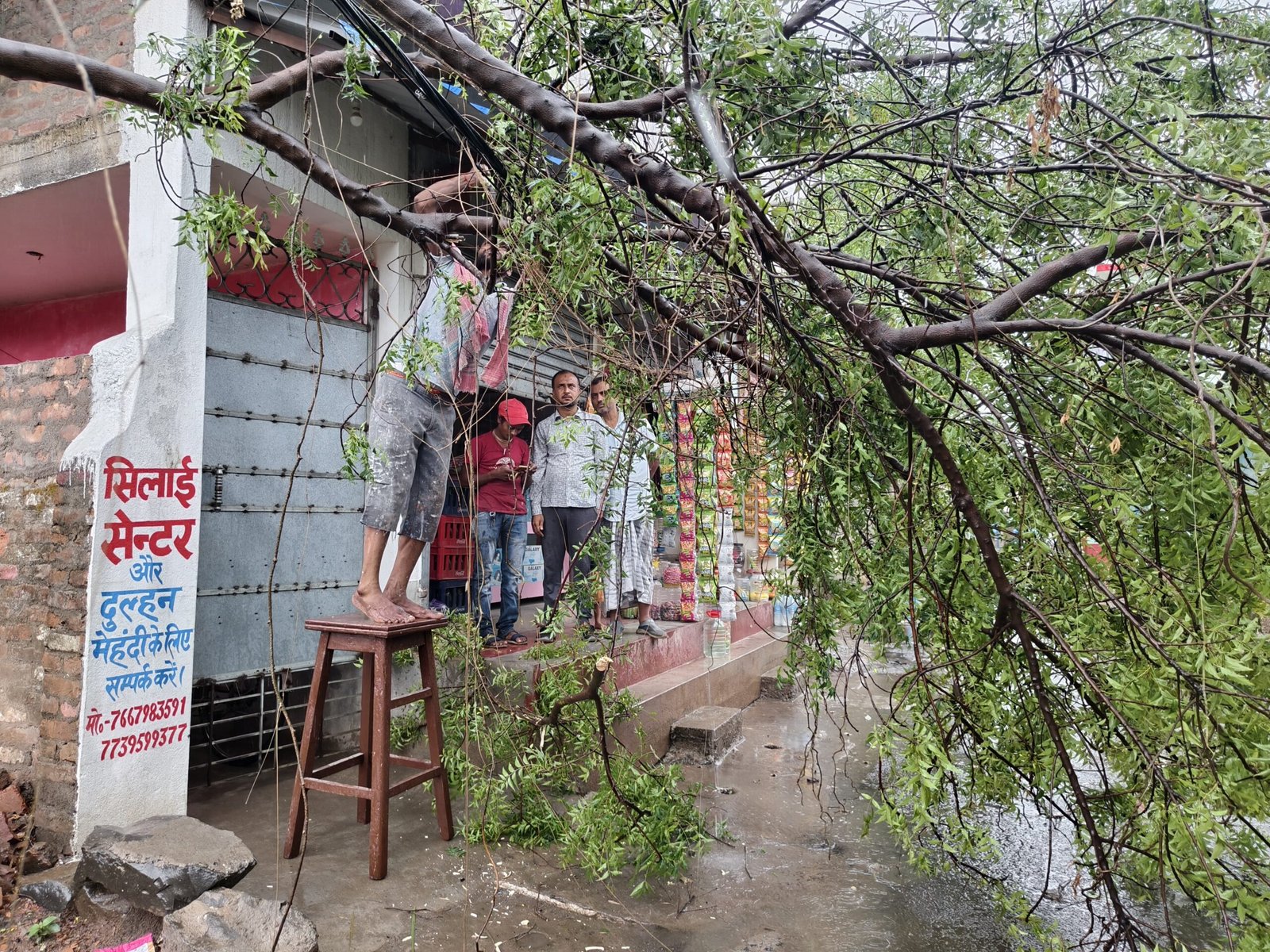 बरहरवा में आंधी-बारिश से बिजली व्यवस्था बाधित, तत्परता से हटाया गया पेड़