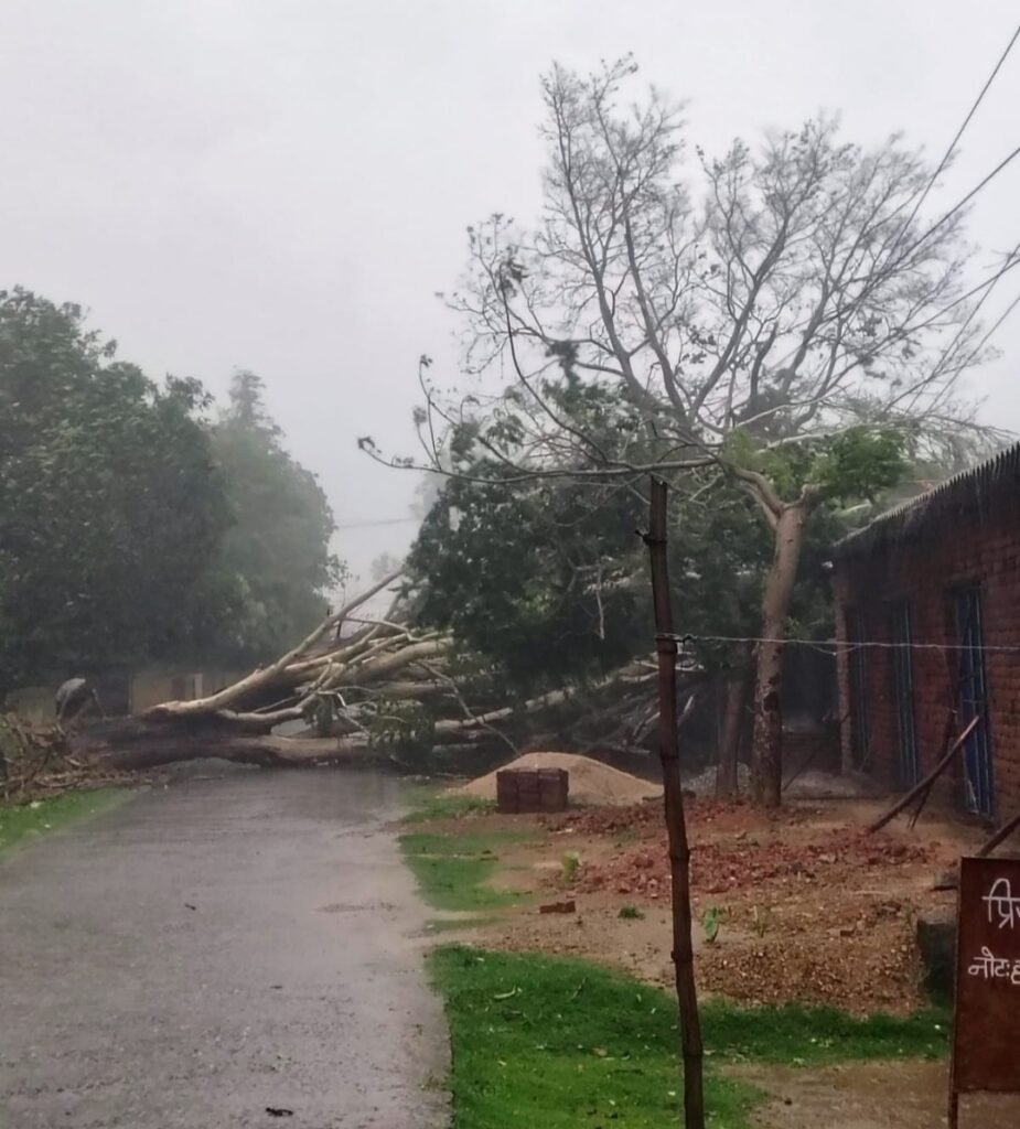 तेनुघाट में आंधी का कहर: कई घर क्षतिग्रस्त, बिजली व्यवस्था बाधित तेनुघाट में आंधी का कहर: कई घर क्षतिग्रस्त, बिजली व्यवस्था बाधित