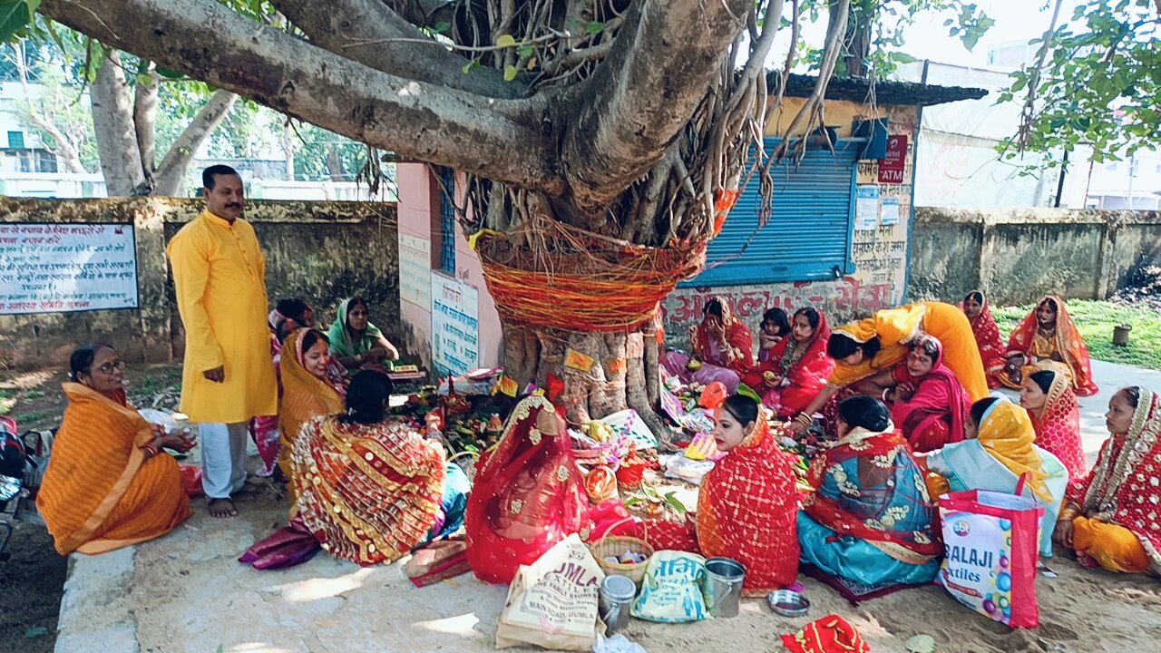 घाघरा प्रखंड में श्रद्धा और भक्ति के साथ मनाई गई सावित्री पूजा घाघरा प्रखंड में श्रद्धा और भक्ति के साथ मनाई गई सावित्री पूजा