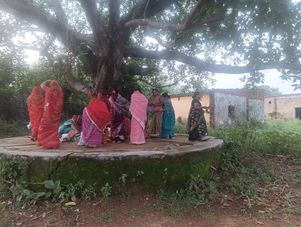 तेनुघाट क्षेत्र में श्रद्धा और उल्लास के साथ मनाया गया वट सावित्री व्रत तेनुघाट क्षेत्र में श्रद्धा और उल्लास के साथ मनाया गया वट सावित्री व्रत