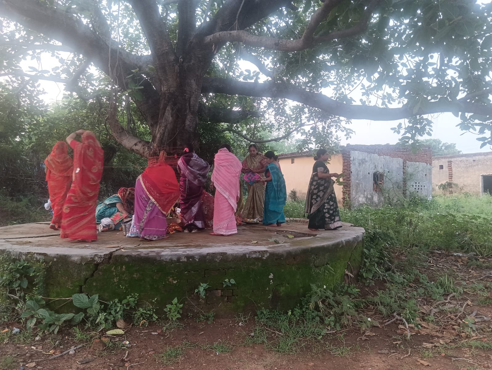 तेनुघाट क्षेत्र में श्रद्धा और उल्लास के साथ मनाया गया वट सावित्री व्रत तेनुघाट क्षेत्र में श्रद्धा और उल्लास के साथ मनाया गया वट सावित्री व्रत