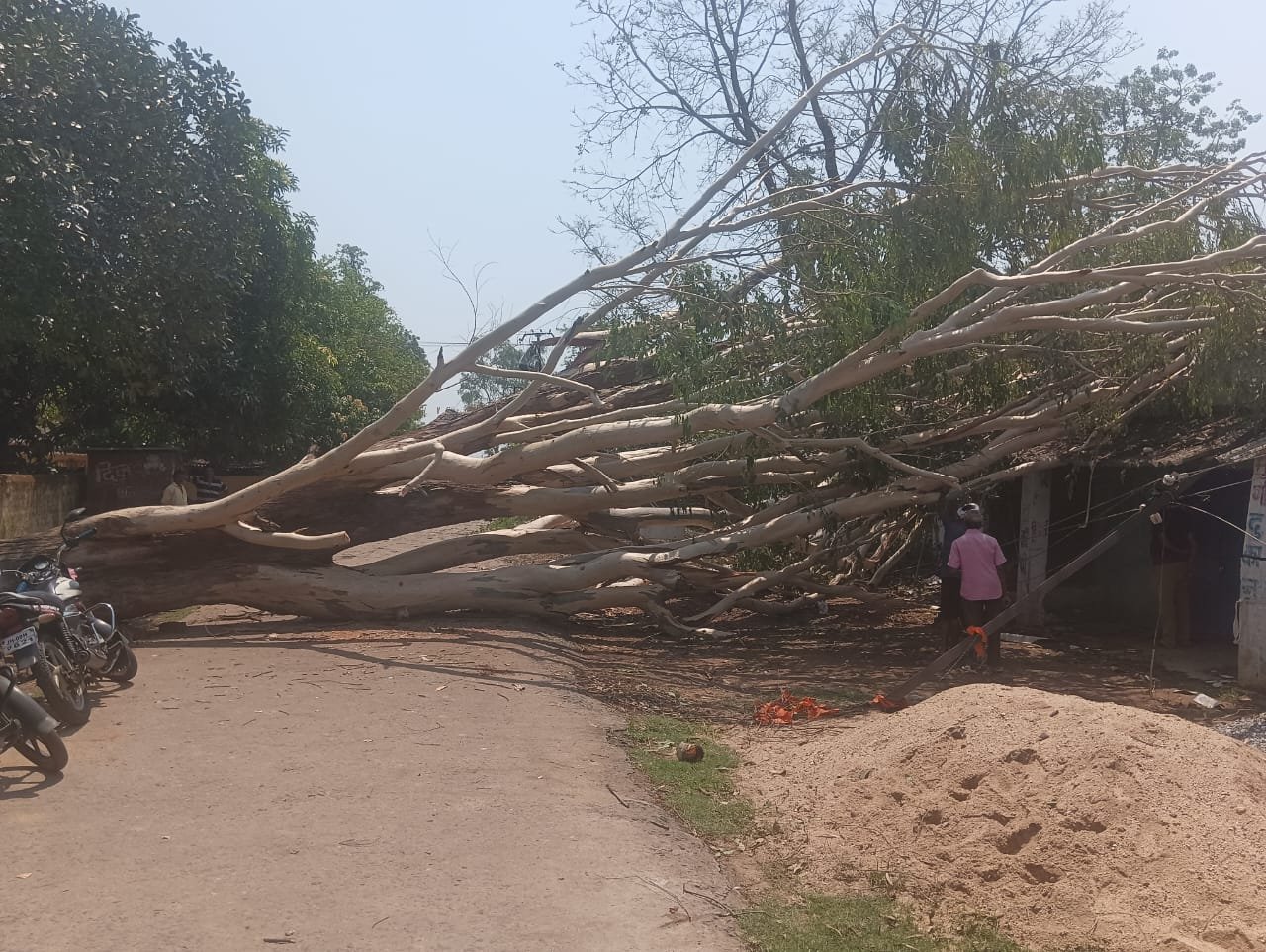 आंधी-तूफान से तेनुघाट में भारी नुकसान,पेड़ गिरने से सड़क बाधित, 24 घंटे ठप रही बिजली