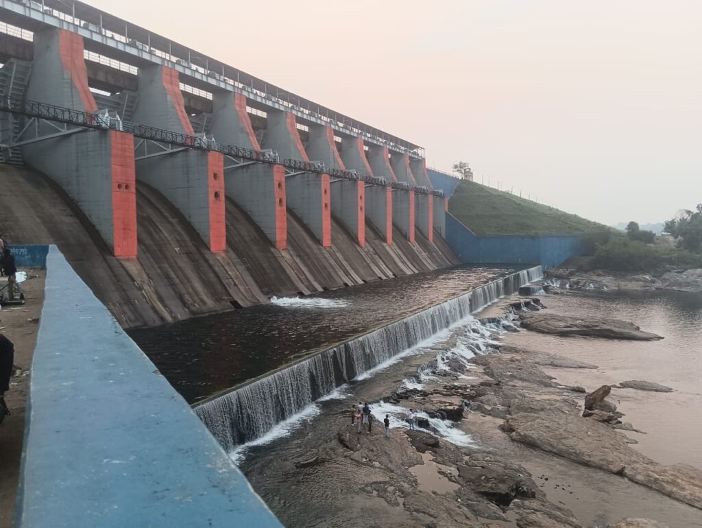 तेनुघाट डैम का जलस्तर बढ़ा, 12 मई को एक फाटक खोला जाएगा