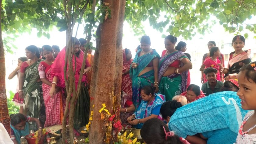 कोटालपोखर में जवाई षष्ठी पर्व धूमधाम से मनाया गया