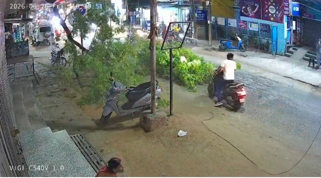 लातेहार में एसबीआई के पास विशाल पेड़ गिरा, बड़ा हादसा टला लातेहार में एसबीआई के पास विशाल पेड़ गिरा, बड़ा हादसा टला