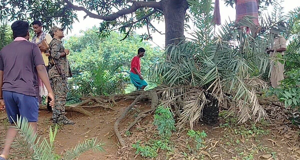 आम के पेड़ से लटका मिला 48 वर्षीय व्यक्ति का शव,पुलिस जांच में जुटी आम के पेड़ से लटका मिला 48 वर्षीय व्यक्ति का शव,पुलिस जांच में जुटी