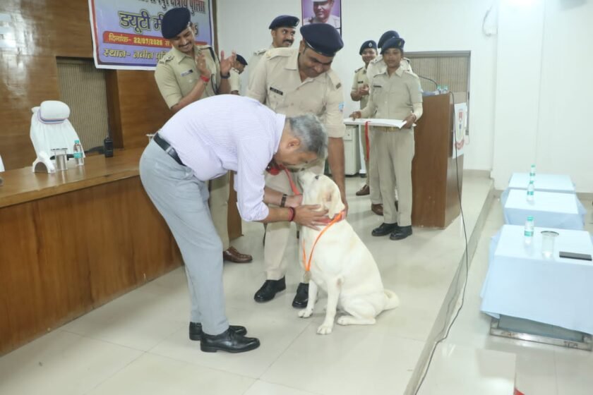 रांची में दक्षिणी छोटानागपुर पुलिस ड्यूटी मीट–2026 का समापन, उत्कृष्ट पुलिसकर्मियों को किया गया सम्मानित रांची में दक्षिणी छोटानागपुर पुलिस ड्यूटी मीट–2026 का समापन, उत्कृष्ट पुलिसकर्मियों को किया गया सम्मानित