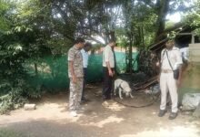 पाकुड़ में पांच दिन का नवजात रहस्यमय तरीके से गायब, डॉग स्क्वायड से तलाश जारी पाकुड़ में पांच दिन का नवजात रहस्यमय तरीके से गायब, डॉग स्क्वायड से तलाश जारी