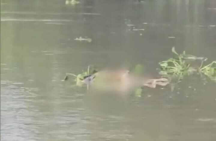 गंगा में बहता अज्ञात शव देख उधवा में सनसनी,सोशल मीडिया पर वायरल हुआ वीडियो गंगा में बहता अज्ञात शव देख उधवा में सनसनी,सोशल मीडिया पर वायरल हुआ वीडियो