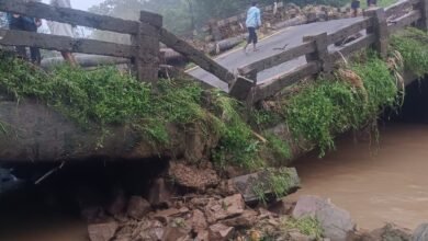 राजदंडा पुल टूटा: डीएसपी पूजा कुमारी की अपील—खतरा मोल न लें, वैकल्पिक मार्ग अपनाएं