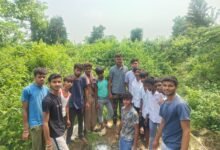अचेतअवस्था में मिली गाय की इलाज से पहले मौत,गौ रक्षक दल ने विधि-विधान से किया अंतिम संस्कार