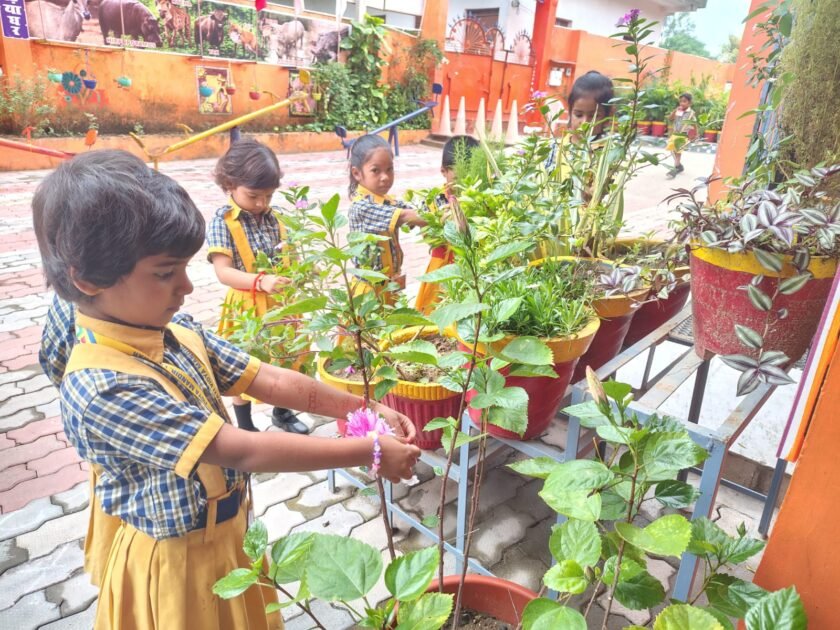 रक्षाबंधन पर भाई-बहनों ने लिया प्रकृति की रक्षा का संकल्प