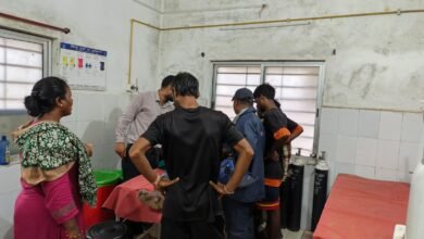 टांगर सिकवार में वज्रपात से युवक की मौत, गुटवा गांव में दो मवेशी भी मरे टांगर सिकवार में वज्रपात से युवक की मौत, गुटवा गांव में दो मवेशी भी मरे