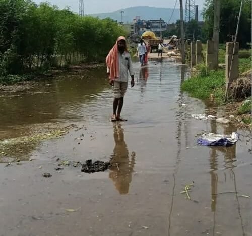 साहिबगंज में बढ़ा गंगा का जलस्तर, 27.95 मीटर पहुंचा पानी; तटीय इलाकों में बढ़ी चिंता