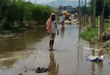 साहिबगंज में बढ़ा गंगा का जलस्तर, 27.95 मीटर पहुंचा पानी; तटीय इलाकों में बढ़ी चिंता