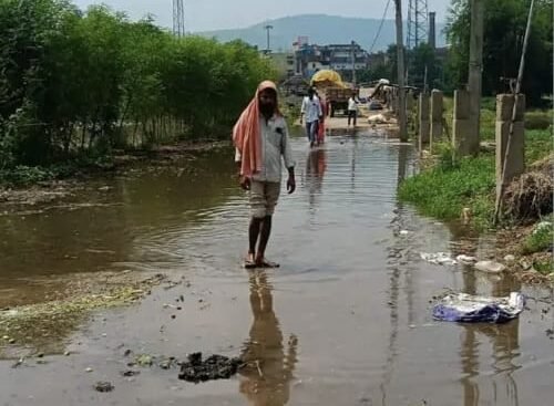 साहिबगंज में बढ़ा गंगा का जलस्तर, 27.95 मीटर पहुंचा पानी; तटीय इलाकों में बढ़ी चिंता