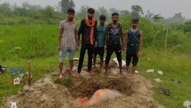 गोमिया में बछड़े की मौत के बाद गौ रक्षक दल ने कराया अंतिम संस्कार