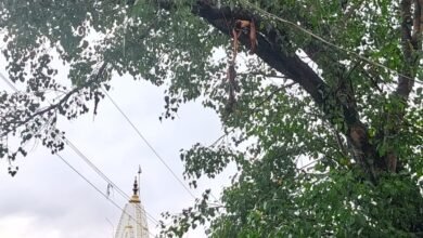 साड़म बाजार के संकटमोचन मंदिर में पीपल के पेड़ पर वज्रपात, बाल-बाल बचे लोग