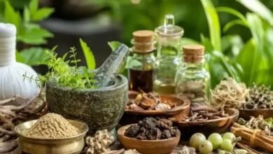 नागपुर में कल मनेगा 11वां आयुर्वेद दिवस, आयुष सेवा क्षेत्र पर पहली रिपोर्ट होगी जारी नागपुर में कल मनेगा 11वां आयुर्वेद दिवस, आयुष सेवा क्षेत्र पर पहली रिपोर्ट होगी जारी