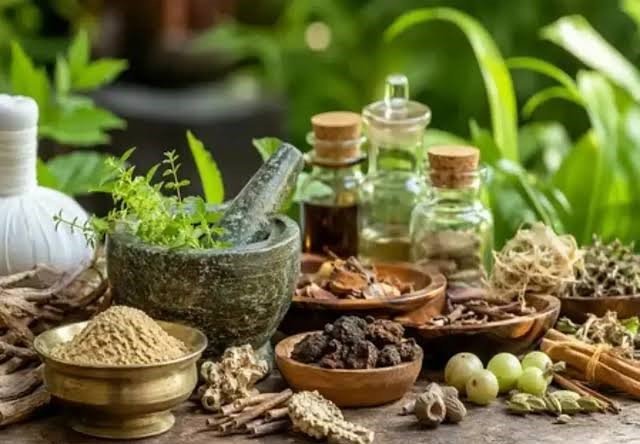 नागपुर में कल मनेगा 11वां आयुर्वेद दिवस, आयुष सेवा क्षेत्र पर पहली रिपोर्ट होगी जारी नागपुर में कल मनेगा 11वां आयुर्वेद दिवस, आयुष सेवा क्षेत्र पर पहली रिपोर्ट होगी जारी