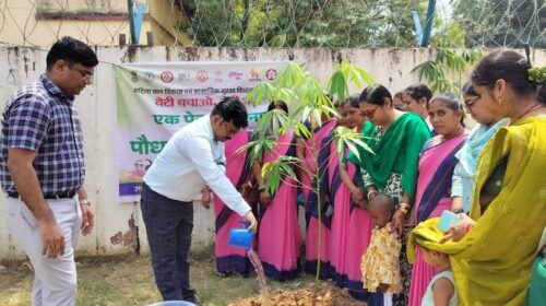 बेटी के जन्म पर पौधा लगाने की अपील, पोषण वाटिका के लिए भी किया प्रेरित