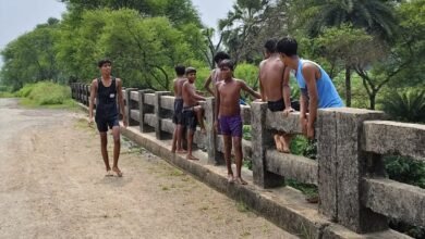 गुमानी नदी उफान पर, पुल से छलांग लगाकर जान जोखिम में डाल रहे बच्चे,हादसे की आशंका बढ़ी
