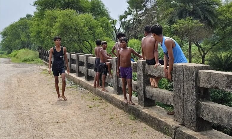 गुमानी नदी उफान पर, पुल से छलांग लगाकर जान जोखिम में डाल रहे बच्चे,हादसे की आशंका बढ़ी